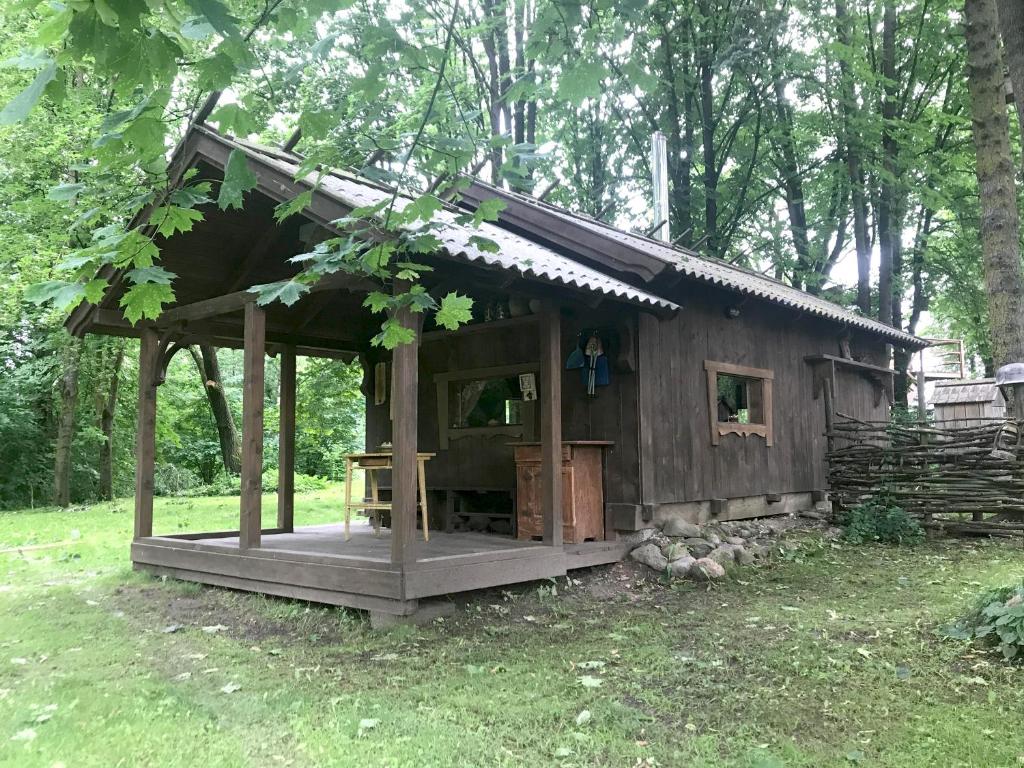 Medže dirbtuve room 2